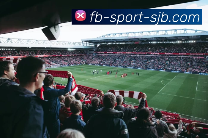 FB体育，FB体育，FB体育官网，FB体育入口，FB体育APPAPP 封面图